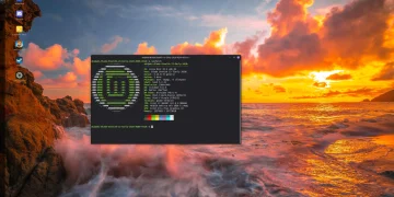 Best Linux Distros After Mint Upgrade
