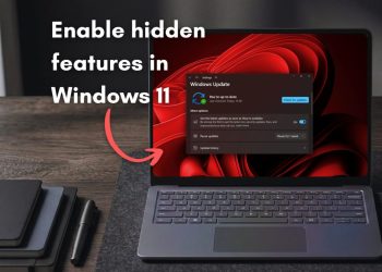 Windows 11 feature flags