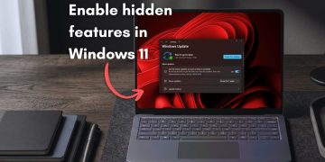 Windows 11 feature flags