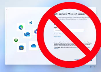 Windows 11 Local Account Setup Guide